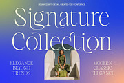 Bastick Thin Serif Display, a Serif Font by timelesstype.co (Thumbnail 6 of 10)