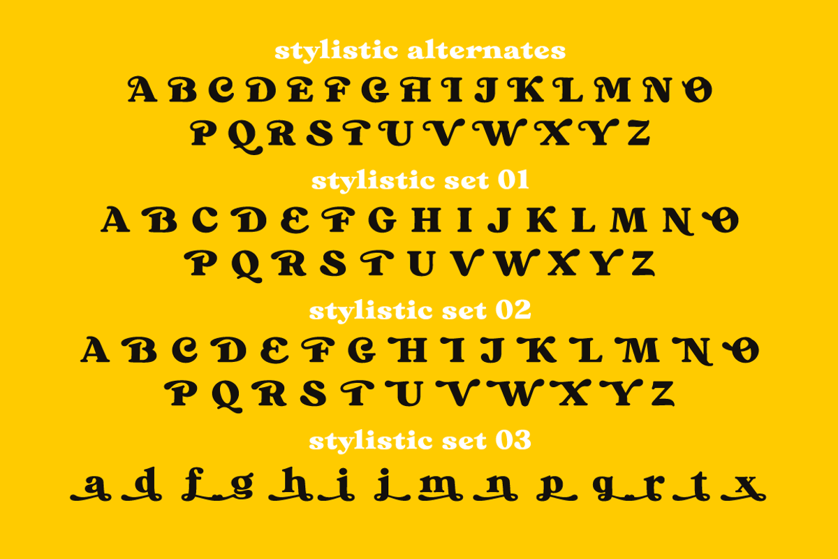 Bikker Black, Funky serifs, a Serif Font by TypeFaith Fonts (Photo 6 of 11)