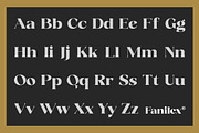 Fanilex, a Serif Font by Propertype (Thumbnail 10 of 16)
