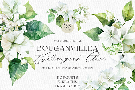 Watercolor Bougainvillea &Hydreangea
