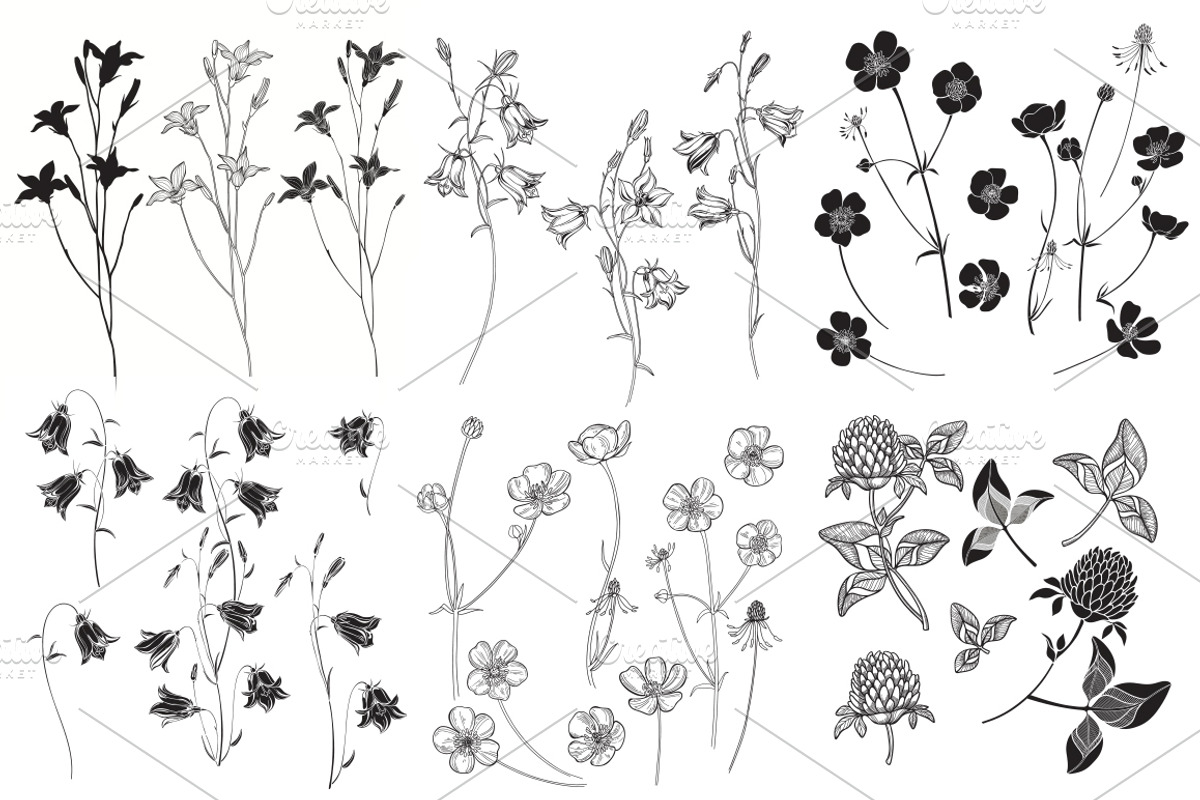 Wildherbs and flowers., an Object Graphic by maritime_m (Photo 4 of 8)