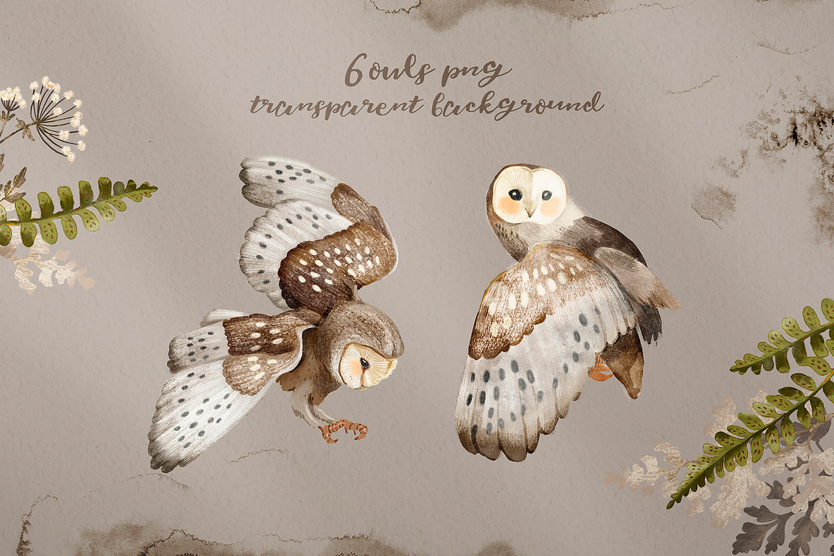 Owls Story watercolor forest clipart, an Animal Illustration by Alamella (Photo 4 of 12)