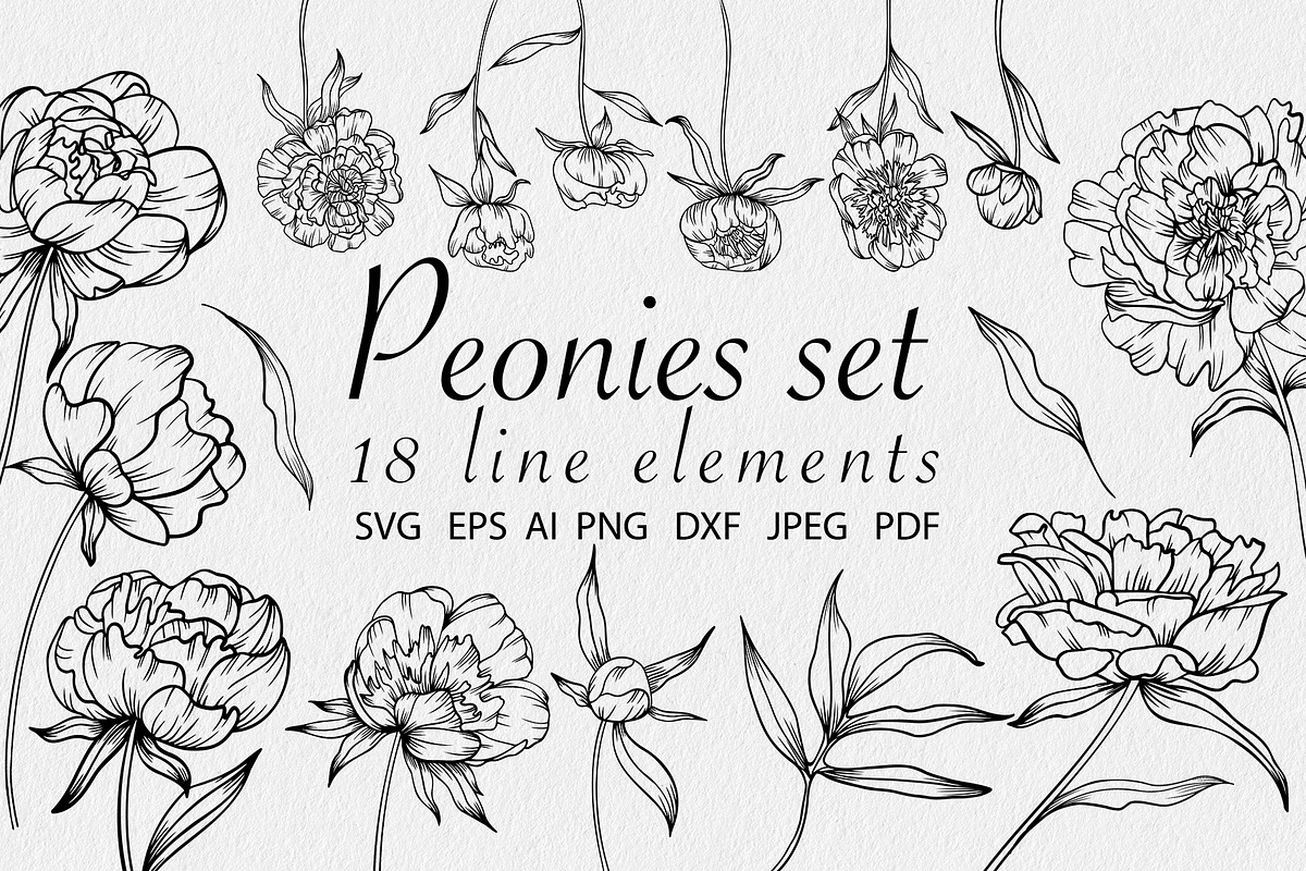 Peonies SVG, an Object Graphic by mArtstore (Photo 1 of 6)