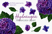 Hydrangea watercolor clipart PNG, an Illustration by Anntre (Thumbnail 1 of 3)