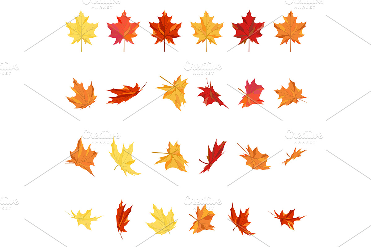 Maple Leaves Set, a Decorative Illustration by Pavel Vectors