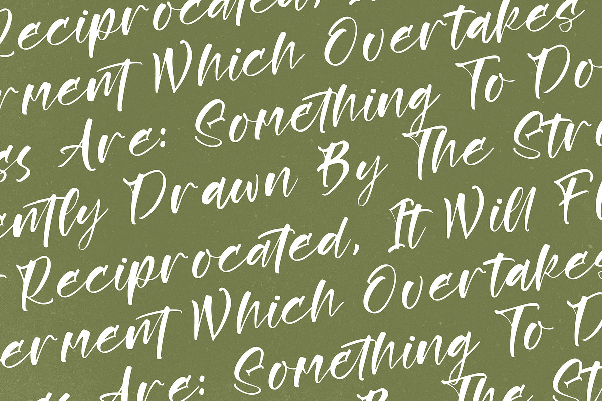 Rustling Kingdom Modern Script Font, a Script Font by Letterena Studios Script (Photo 2 of 15)