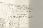 Rusticglam - Handwritten Script Font, a Script Font by Letterative Studio (Thumbnail 7 of 7)