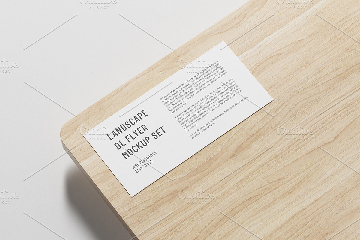 DL Landscape Flyer Mockup Set, a Product Mockup by professorinc (Photo 2 of 5)