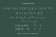 Newark Script, a Script Font by sizimon (Thumbnail 7 of 7)