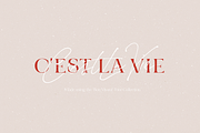Bon Vivant Collection, a Serif Font by Nicky Laatz (Thumbnail 29 of 44)
