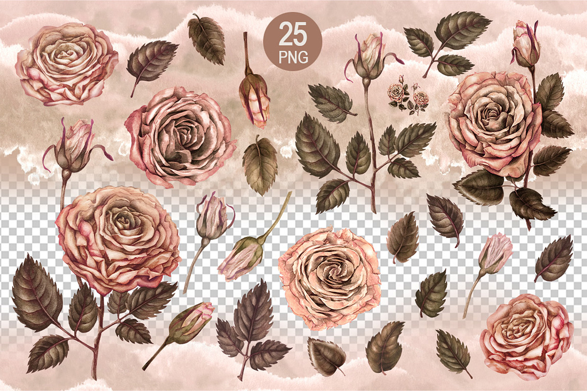 Love&Rose botany vintage watercolor, a Decorative Illustration by EL_SUHOVA (Photo 2 of 13)
