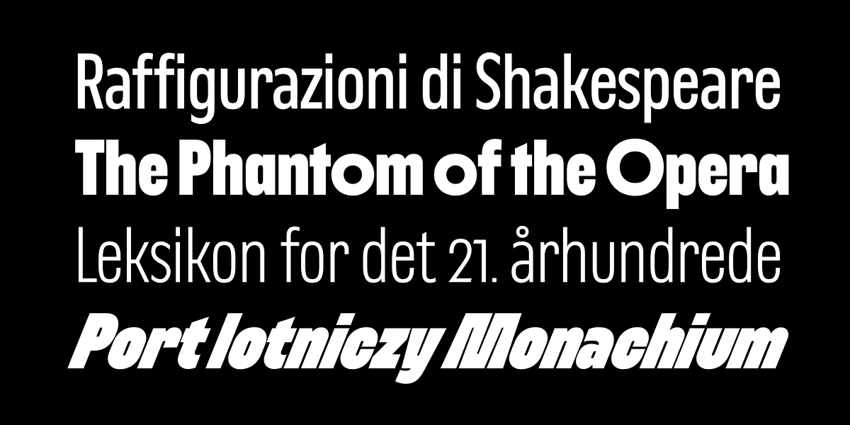 Nerissimo, a Sans Serif Font by Synthview Type Design (Photo 3 of 10)