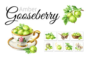 Amber Gooseberry. Watercolor set, a Food Illustration by Daria Ustiugova