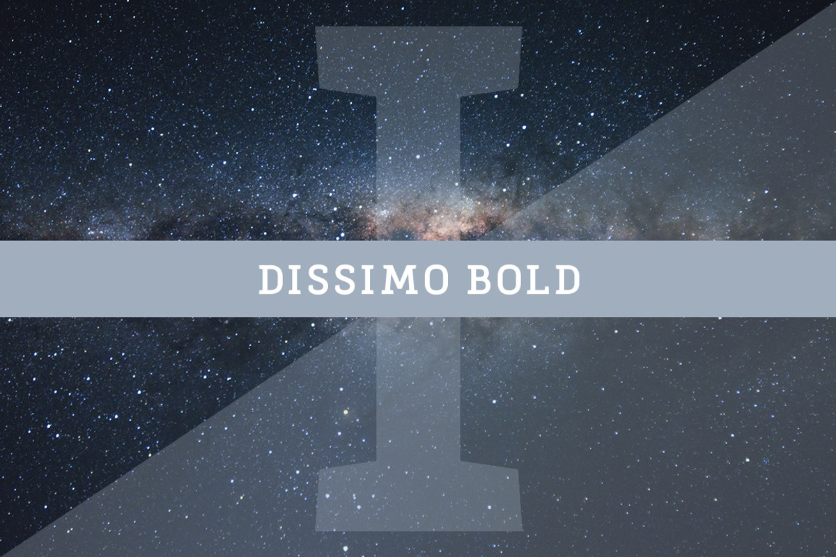 Dissimo Font Family (8 fonts) preview 4