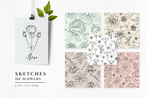 Sketches Of Flowers Line Vector