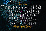 Aquilla - Brush Script Font, a Script Font by StringLabs (Thumbnail 10 of 11)