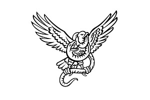 Hawk and Snake Fighting Mascot Retro, an Illustration by patrimonio