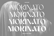 Armany - Display Font Family, a Sans Serif Font by LoneArmy (Thumbnail 15 of 16)