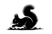 Black Squirrel Vector Icon Bundle, an Illustration by jahid234 (Thumbnail 48 of 51)