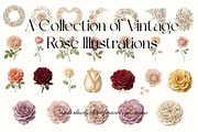 Vintage Rose Botanical Illustrations, a Decorative Illustration by youtoview (Thumbnail 6 of 20)