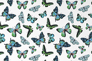 Watercolor Butterfly Seamless Paper, a Pattern Graphic by PatternPalette (Thumbnail 4 of 11)