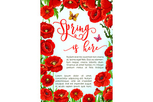 Vector Greeting Poster Of Spring Poppy Flowers