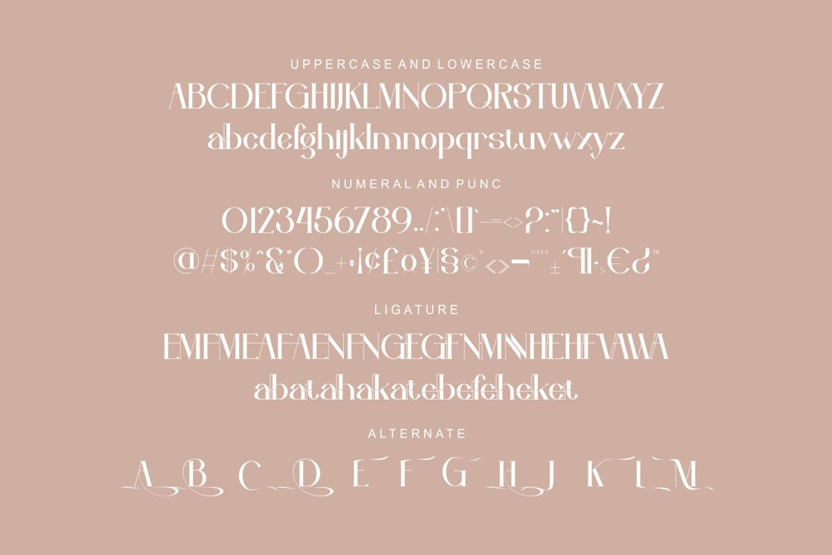 Lavannia, a Serif Font by Kenrichi (Photo 3 of 9)
