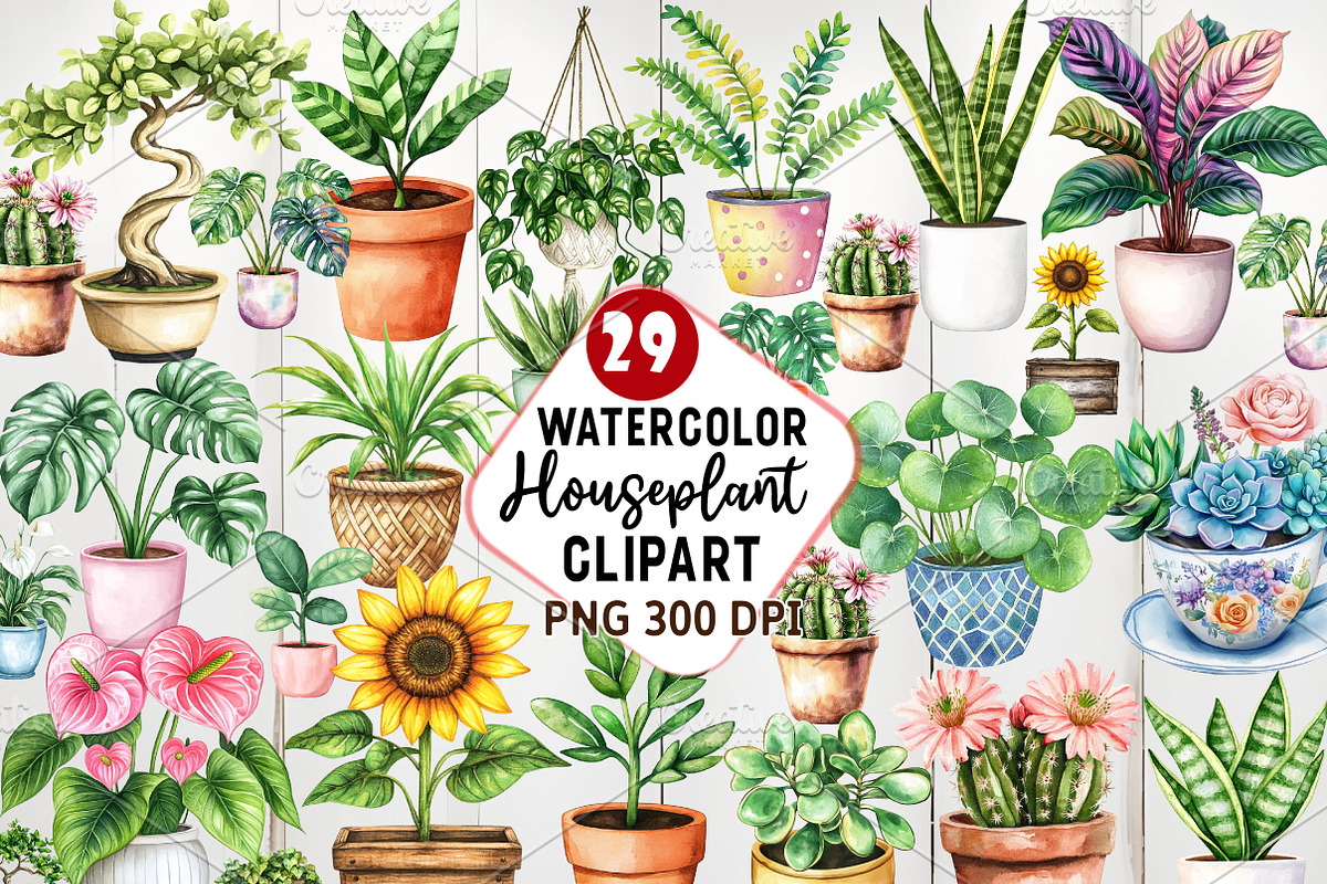 Watercolor Houseplant Clipart, an Illustration by Watercolor design (Photo 1 of 4)