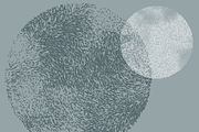 200 Vector Halftone Circles Megapack, a Texture Graphic by invisiblelayer (Thumbnail 5 of 5)