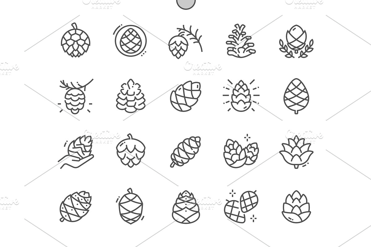Pine cone Line Icons, an Outline Icon by Palau