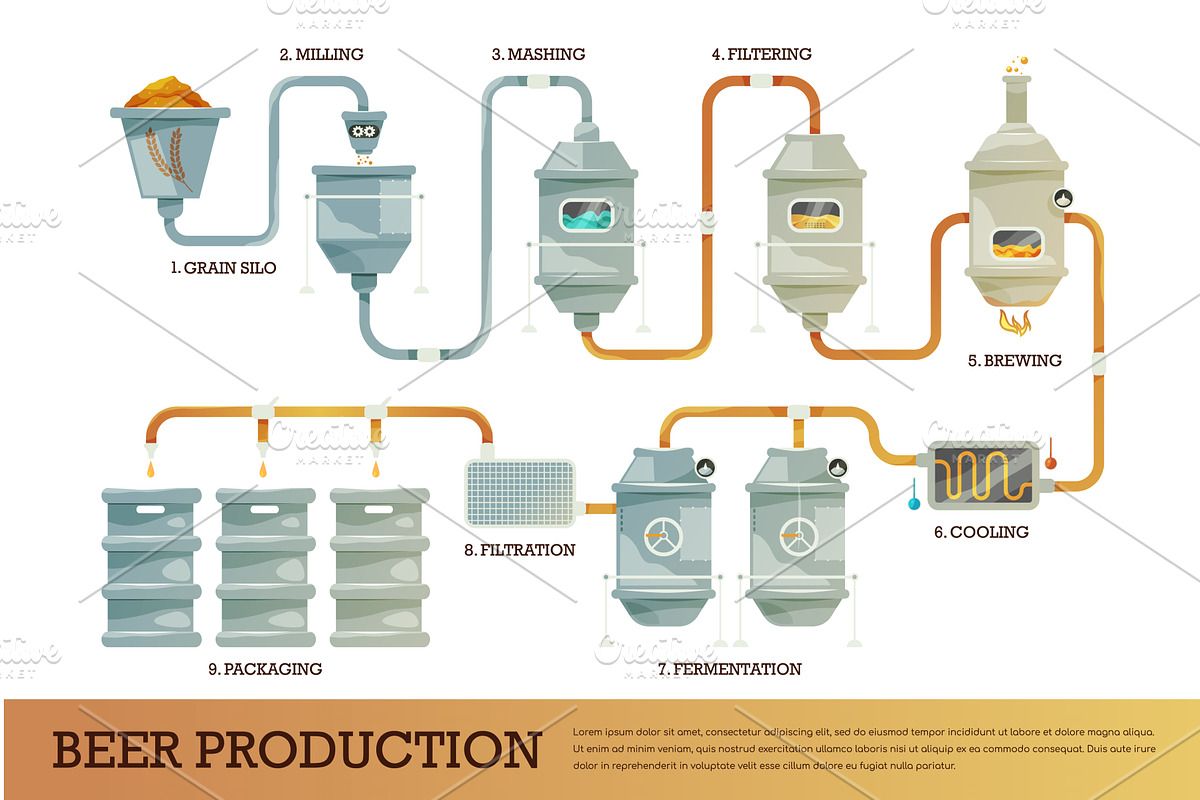 Vector infographic of beer, a Food Illustration by Elegant Solution