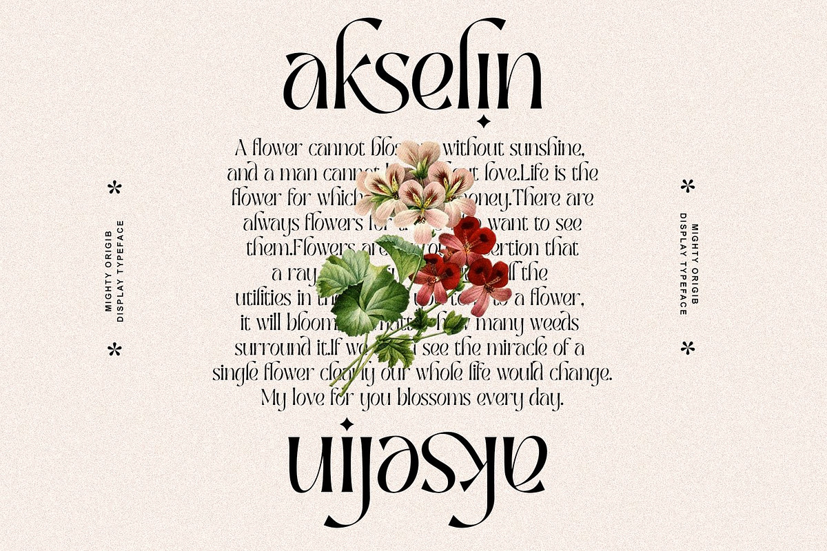 Helomat - Elegant Serif Display, a Serif Font by Luna Shop (Photo 7 of 12)