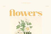 GLIVEN // New Retro Elegant, a Script Font by Flawless And Co (Thumbnail 7 of 13)
