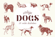VINTAGE DOGS | 26 Vectors, a Graphic by Britt & Kit (Thumbnail 1 of 2)