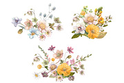 Watercolor Wild Summer Flowers., an Illustration by yulia.sukhanova (Thumbnail 2 of 5)