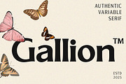 Gallion Pro, a Serif Font by MasaType (Thumbnail 1 of 11)
