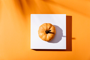 Thanksgiving pumpkin on stage podium, a Holiday Photo by hitdelight