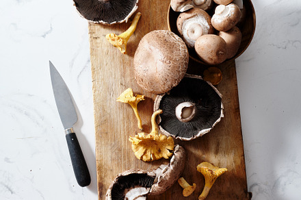 Cooking with various mushrooms, a Food & Drink Photo by Asya Nurullina