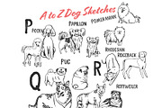 Whimsical Dog Alphabet, an Animal Illustration by Anastasiya Klempach (Thumbnail 5 of 8)