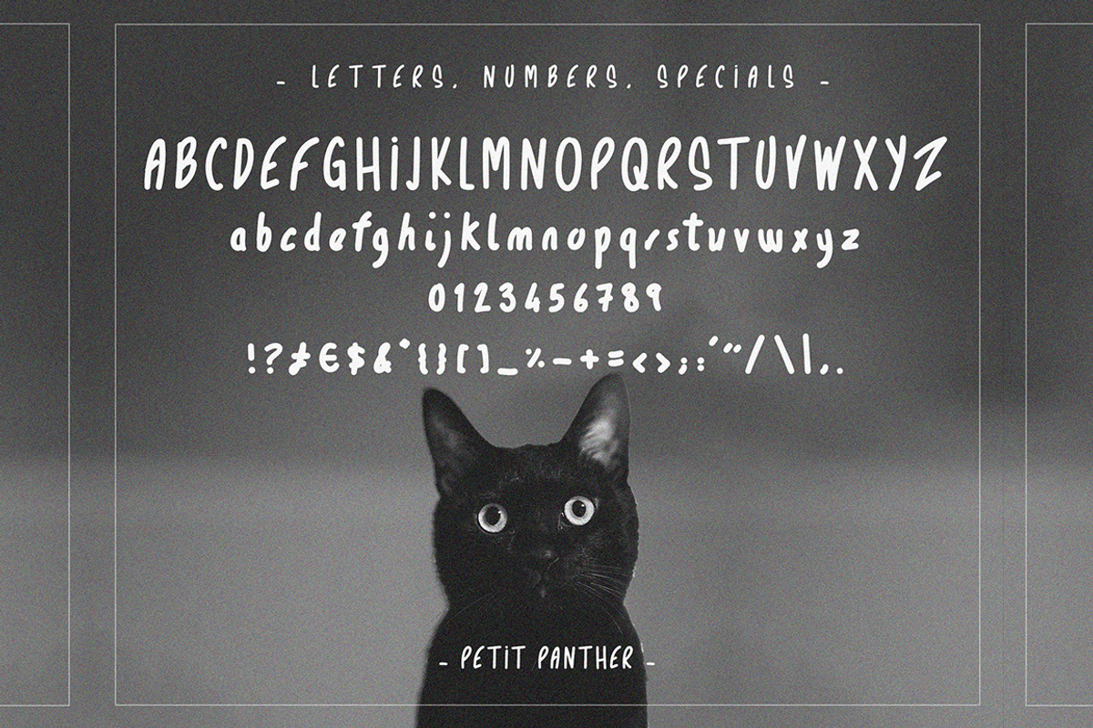 Petit Panther typeface - handwritten preview 2