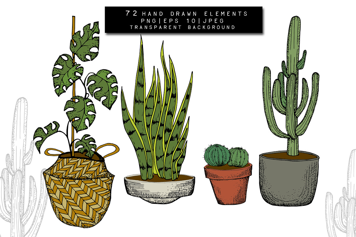 Home Plants Clipart Collection, a Graphic by Hand drawn Boutique (Photo 8 of 10)