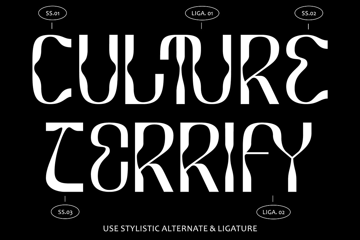 Collogue - Variable Font, a Font by HeyFonts (Photo 6 of 19)