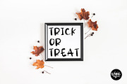SPOOKY a Halloween Brushed .OTF Font, a Font by Blush Font Co. (Thumbnail 4 of 5)