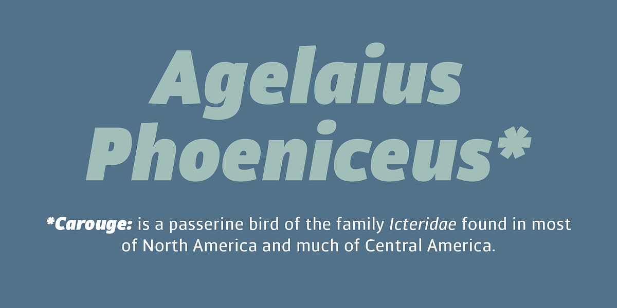 Carouge Pro, a Sans Serif Font by André Simard (Photo 2 of 8)