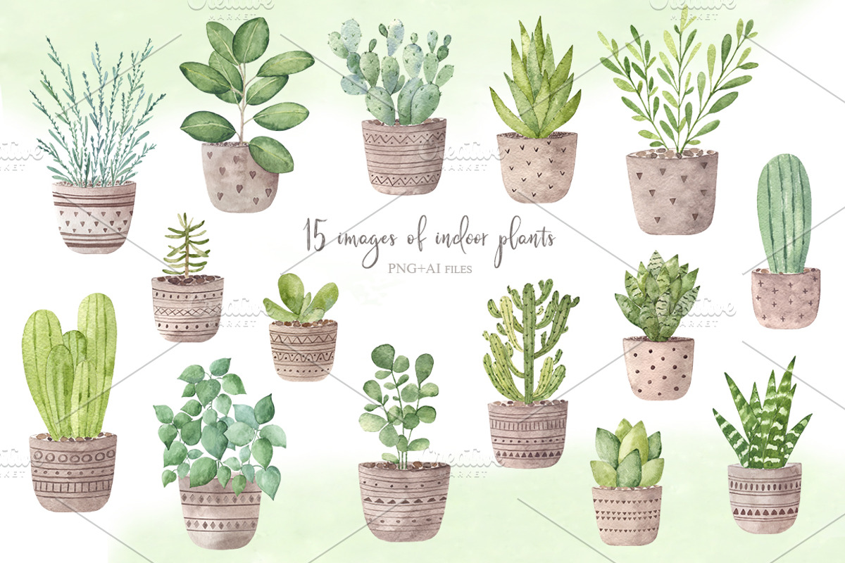 Watercolor indoor plants., an Illustration by BrushArtDesigns (Photo 2 of 5)