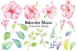 Watercolor Pink Hibiscus Clipart