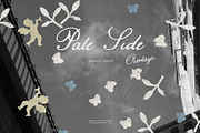 Pale Side: Papers, Flowers & Traces, an Object Graphic by Purple (Thumbnail 14 of 16)