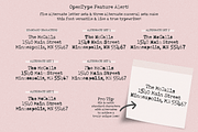 Grassroots Typewriter Font, a Serif Font by Beck McCormick (Thumbnail 5 of 11)