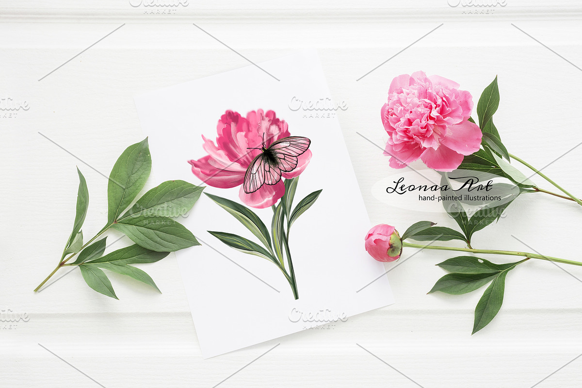 Peonies with Butterflies, an Illustration by Leonaa art (Photo 5 of 10)