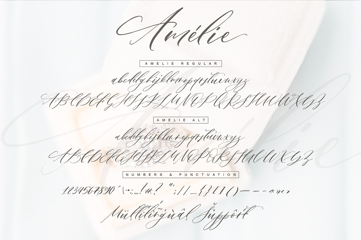 Amelie Script, a Script Font by Calamar Studio (Photo 12 of 15)